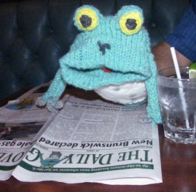 Frog2-brief
