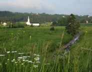 hillsboroughmarsh