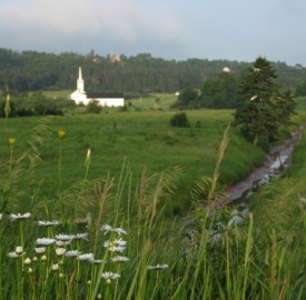 hillsboroughmarsh