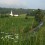 hillsboroughmarsh