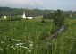 hillsboroughmarsh