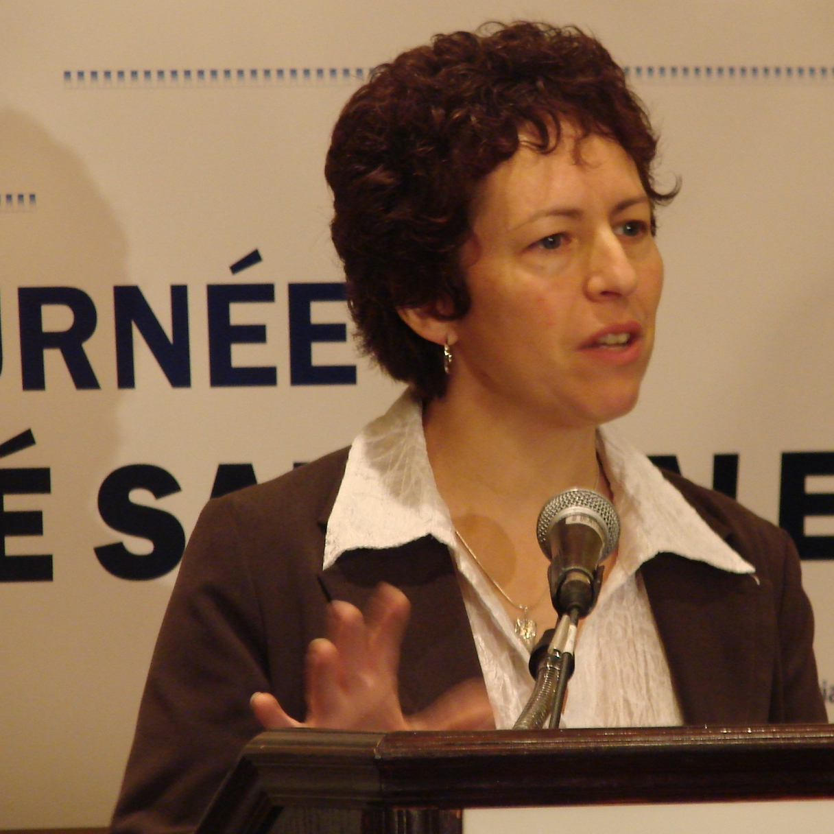 Johanne Perron, the executive director of the NB Coalition for Pay Equity, speaking at a media conference on Nov. 27, 2009 in Fredericton. johanne
