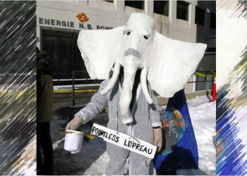 Lepreau is a white elephant: activists