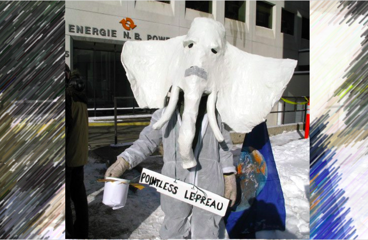 Lepreau is a white elephant: activists