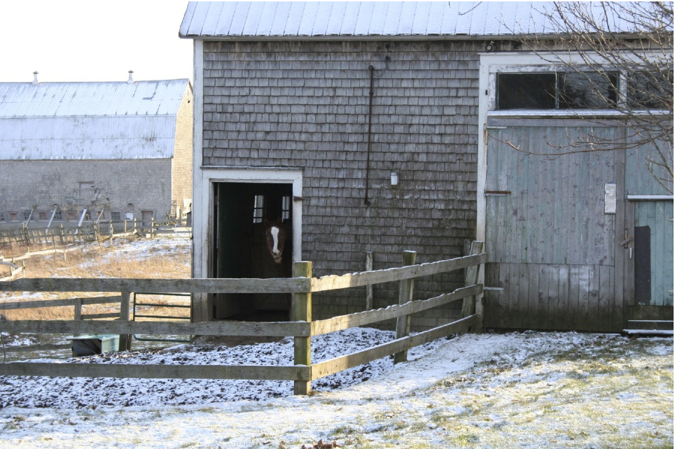 opensky-barn
