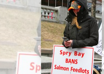 Down our throats: fed-up with salmon feedlots