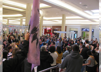 Optimum purpose and meaning of the “Idle No More” movement