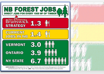NB worst in region for jobs created per tree harvested