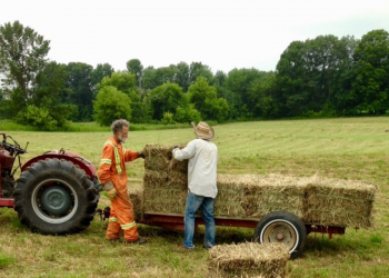 Local food, for local communities – A letter from New Brunswick’s future #8