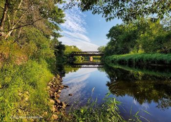 The joys of rural work – A letter from New Brunswick’s future #10