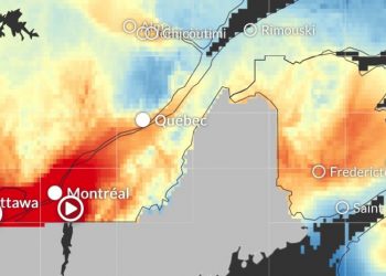 Feeling the climate crisis: How our unknown future is affecting our mental health