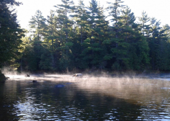 The tale of Skutik – A letter from New Brunswick’s future #12