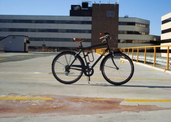 The flip to low-carbon mobility – A letter from New Brunswick’s future #19