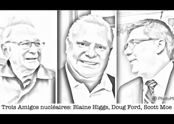 Petits réacteurs modulaires nucléaires – une chimère?