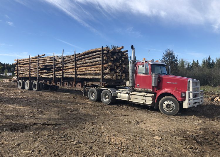 Woodstock wood producer supports Wolastoqey loggers earning a livelihood