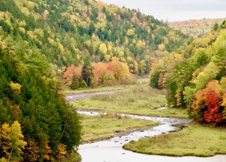 Why we oppose Sunday hunting in New Brunswick