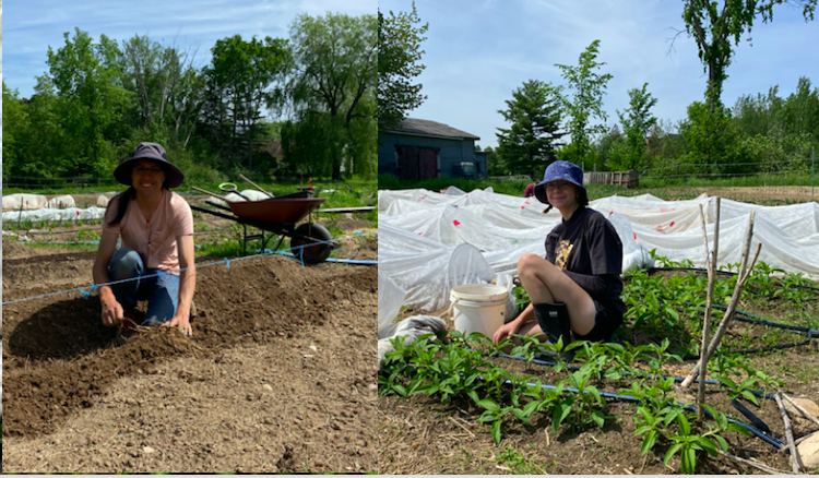 Meet two young farmer trainees in New Brunswick