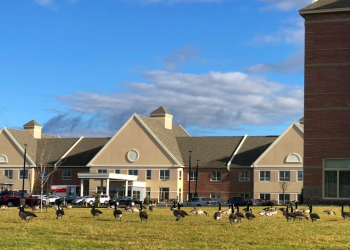 Lowest-paid workers in Shannex homes in New Brunswick excluded from federal wage top-up