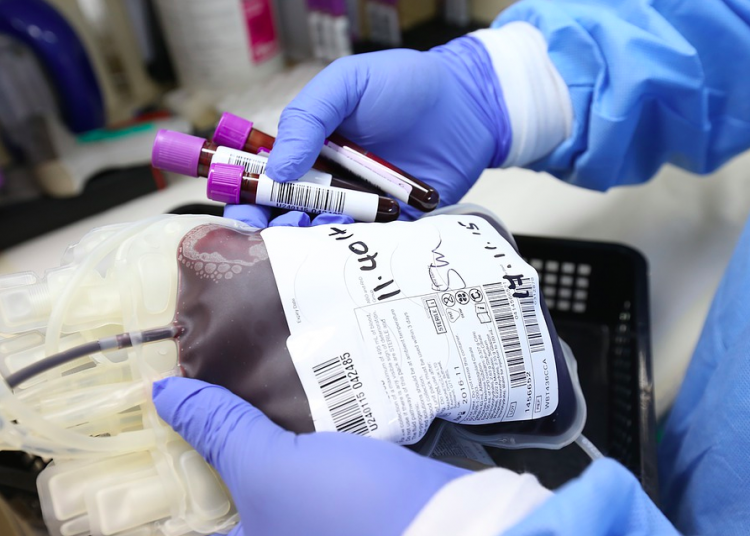 New Brunswick Union urges government to protect blood and plasma supply