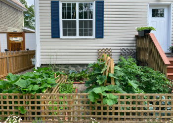 Planting urban food gardens in New Brunswick