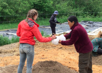 An Indigenous perspective: “Food is medicine, medicine is food”