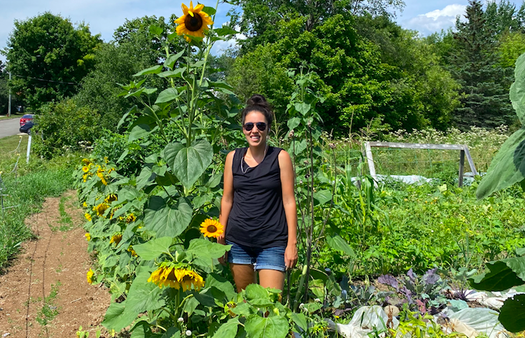 Indigenous trainees build food sovereignty skills at Fredericton’s Hayes Farm