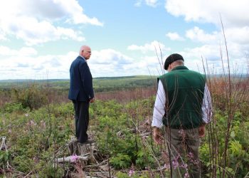 Are J.D. Irving and ForestNB breaking Elections NB laws?