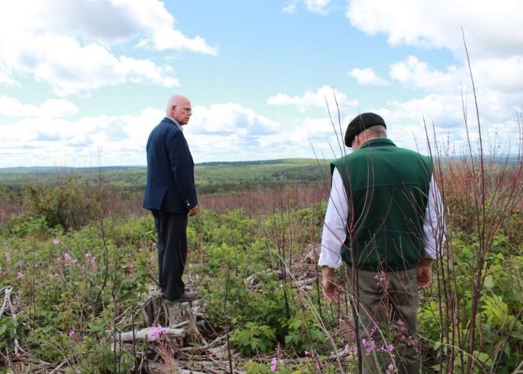 Are J.D. Irving and ForestNB breaking Elections NB laws?