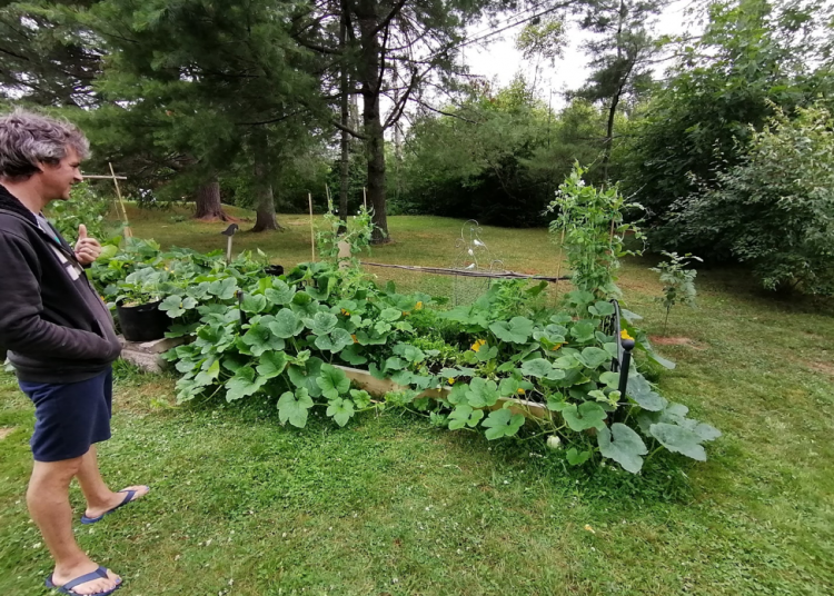The Valley Grow project: Re-energizing the home garden movement in New Brunswick
