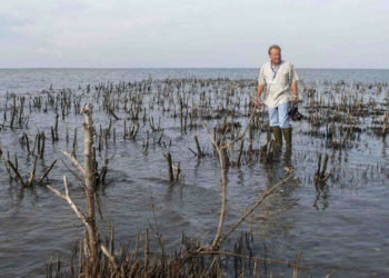 Exploring environmental destruction in Louisiana through poetry
