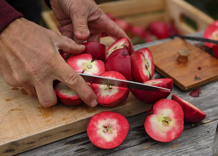 Preserving harvest and preserving heritage: Making apple cider in the Nashwaak Valley