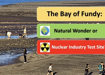 The Bay of Fundy: natural wonder or nuclear industry test site? [video]