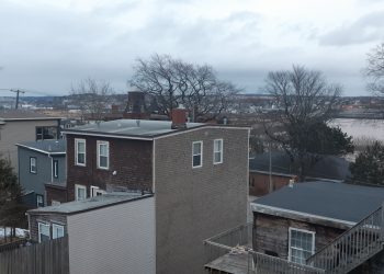 Higgs sleepwalking into massive housing crisis with rental reforms