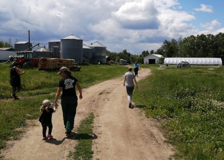 Building food sovereignty in New Brunswick with a worker-owned cooperative