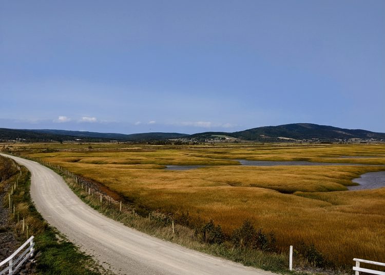 A letter from someone who stayed