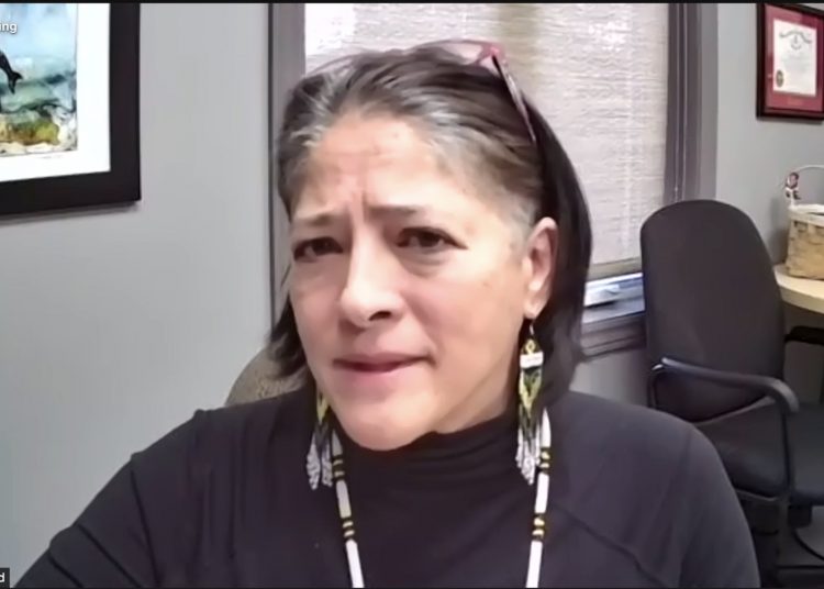 Wolastoqey Nations claim title to land owned by JD Irving and other companies due to “reckless resource extraction”