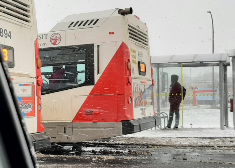 A person stands in a bus shelter; two buses are visible; there is snow on the ground and the sky is overcast; the photo appears to be taken from the window of a vehicle. .