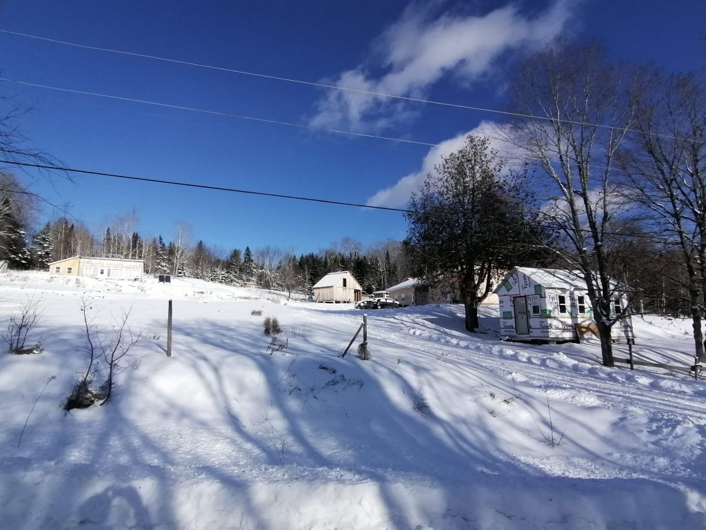 From intern to farm owner at Earth to Belly Homestead in Stanley, New
