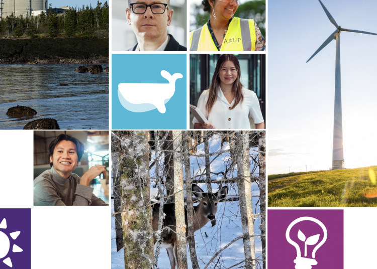 Option B for Point Lepreau: Alternatives to more nuclear reactors in New Brunswick