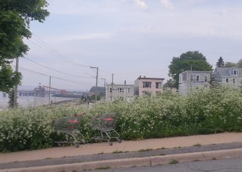 End the ‘no spouse in the house’ rule in social assistance