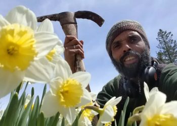 New Brunswick’s unchecked timber industries have left our forests in ruin and our people without land