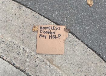 New Brunswick’s unchecked timber industries have left our forests in ruin and our people without land