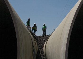 ‘Well, yes, it’s legal. They write the laws.’