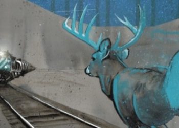 Lac-Mégantic : Irving savait…