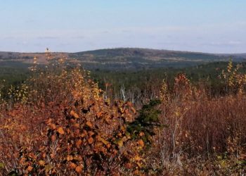 Eyes on the land at the proposed Sisson mine site