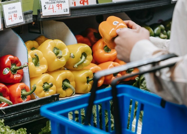 Political will required to end poverty, food insecurity in New Brunswick