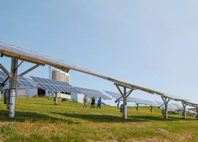 Energizing the future for New Brunswick