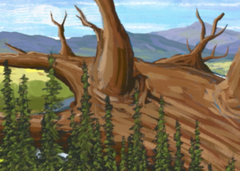 A painting of a huge tree branch and pine trees,