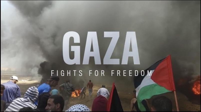 A group of people surrounded by smoke and waving Palestine flags. The text overtop of it says, "Gaza Fights for Freedom."