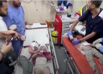 Fact check: Inaccurate, misleading, incomplete statements on Gaza war by members of Tantramar council